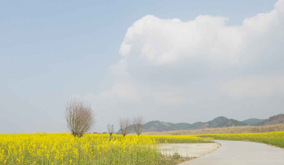 何为迷茫？为何迷茫？